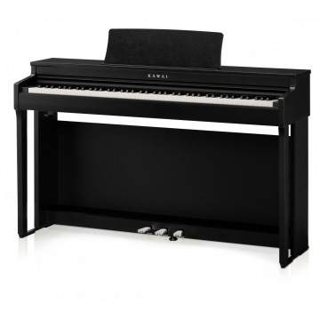 Kawai CN-201