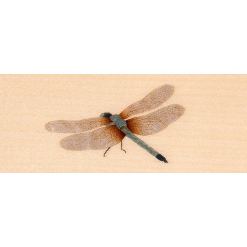 Bösendorfer Limited Edition - Dragonfly