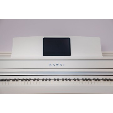 Kawai CA-501