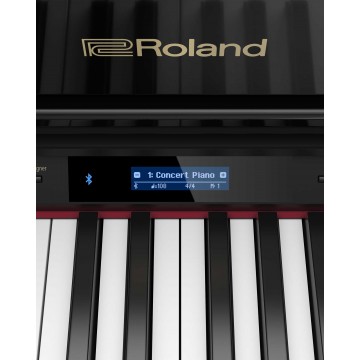 Roland GP-607 PE