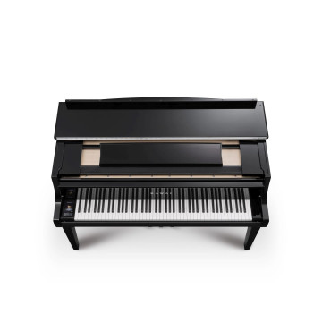 Kawai NV-12