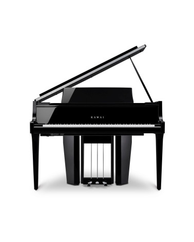 Kawai NV-12
