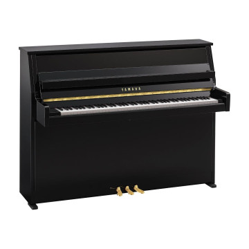 Yamaha B-10 PE
