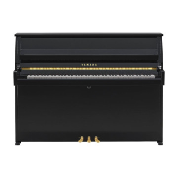 Yamaha B-10 PE