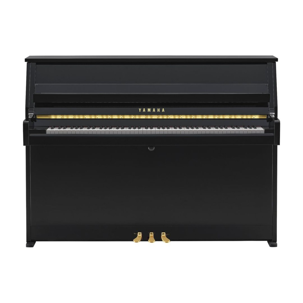 Yamaha B-10 PE