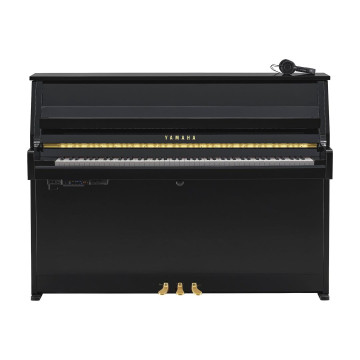 Yamaha B-10 SC3