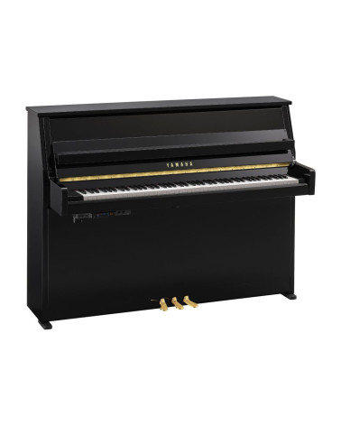 Yamaha B-10 TC3