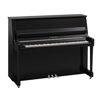 Yamaha B-20