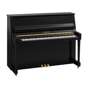 Yamaha B-20
