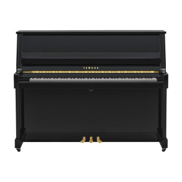 Yamaha B-20