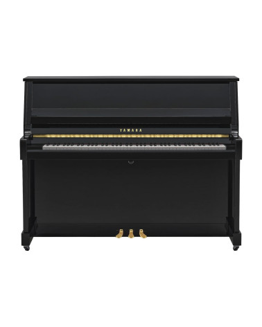 Yamaha B-20