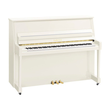 Yamaha B-20