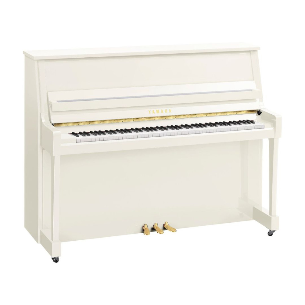 Yamaha B-20