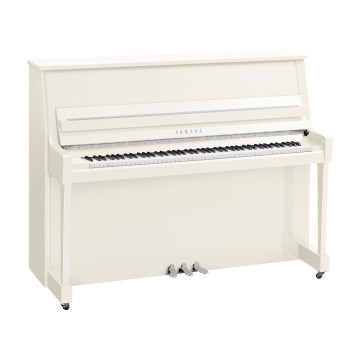 Yamaha B-20
