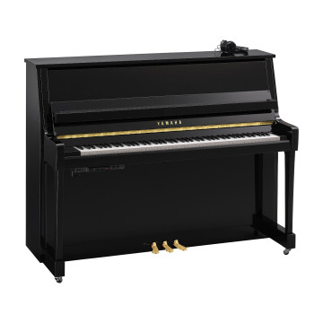 Yamaha B-20 SC3