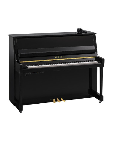 Yamaha B-20 SC3