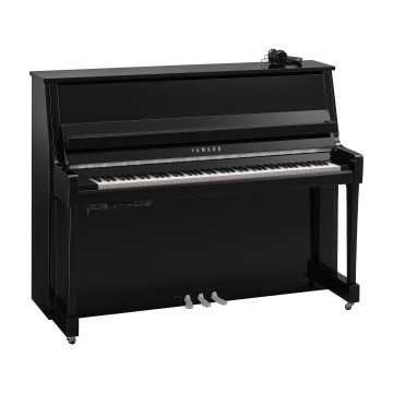 Yamaha B-20 SC3