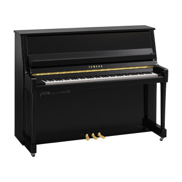 Yamaha B-20 TC3