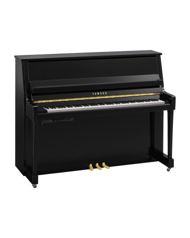 Yamaha B-20 TC3