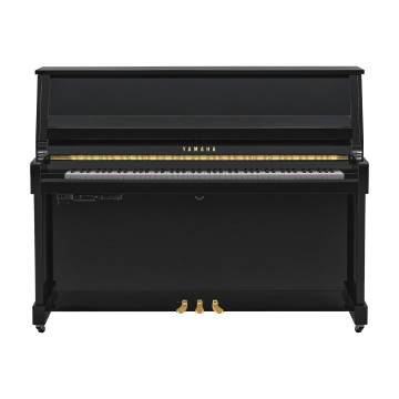 Yamaha B-20 TC3