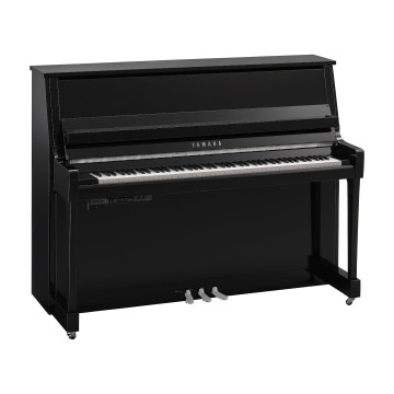 Yamaha B-20 TC3